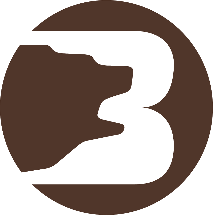 Brown Bears 1973-1992 Primary Logo diy iron on heat transfer